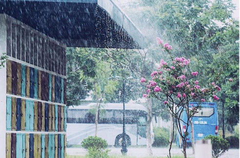 dh fpt sang chanh 8