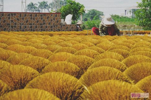 Trải nghiệm đan guột