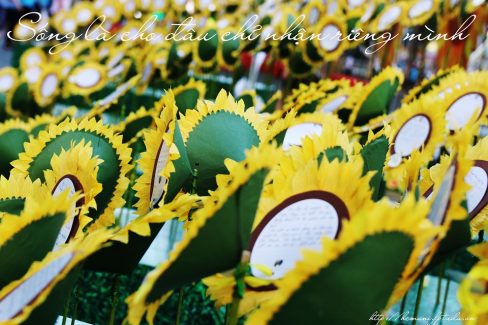 ĐH FPT Hoa hướng dương