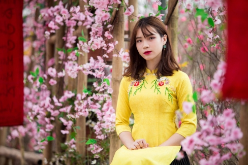 3 le giang