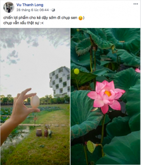 sen hoa lac 3
