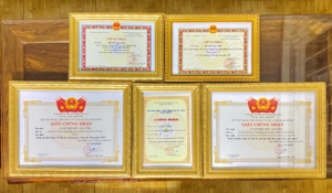 Ngoc han chinh phuc hoc bong FPTU Scholarship 1000 3