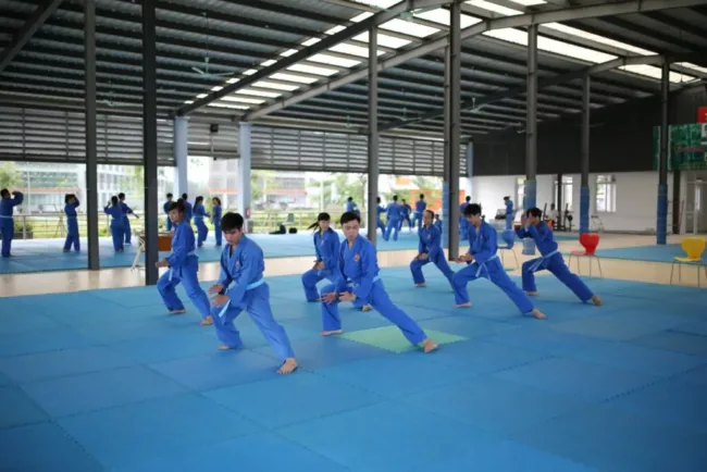 Vovinam 1 1024x683