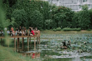Visitors watch a traditional music performance on a boat in the lotus pond at FPT University
