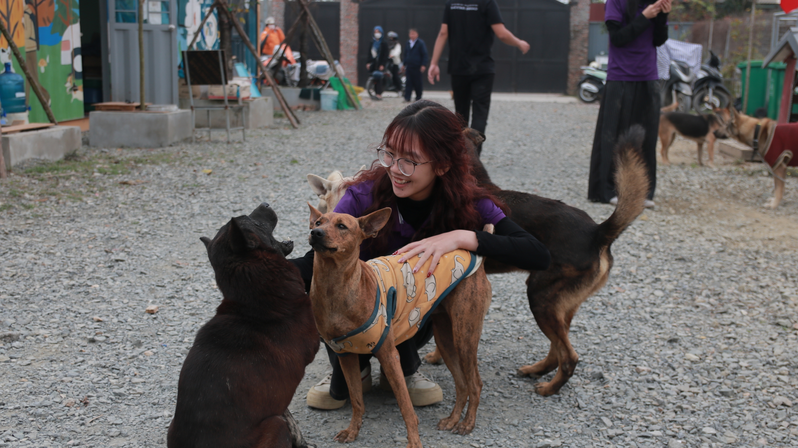 IMG 5818 Nhiều hoạt động được tổ chức nhằm lan tỏa thông điệp nhân văn về trách nhiệm với thú cưng