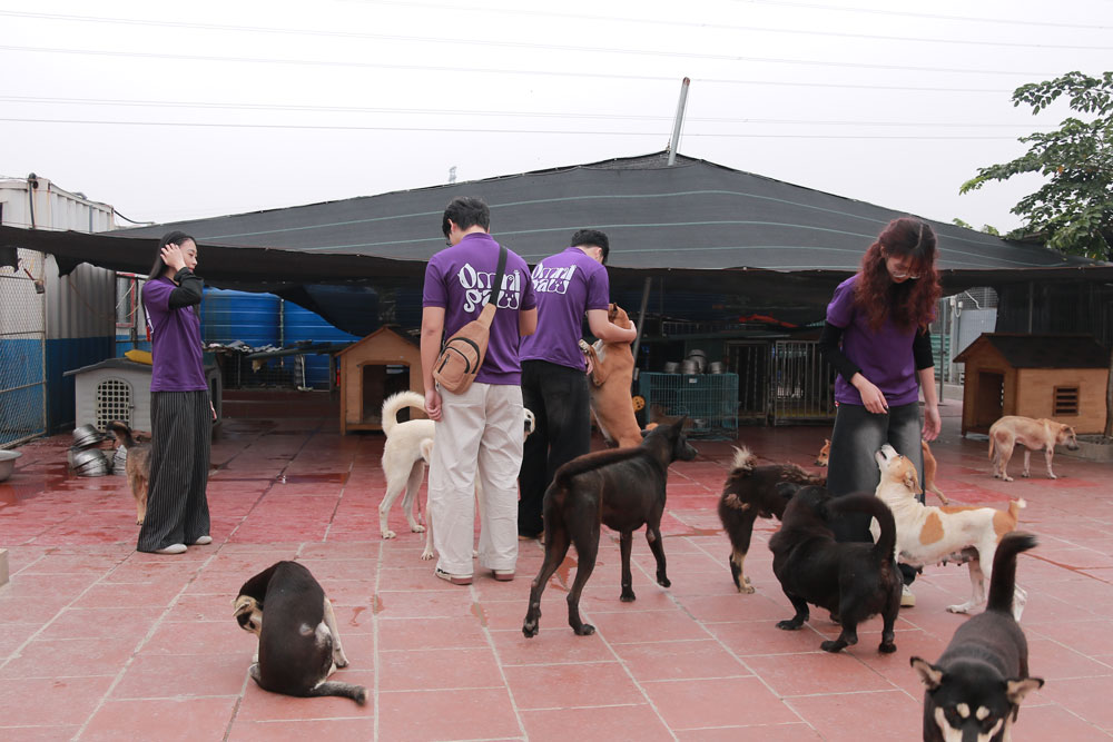 omnipaw-giai-phap-cham-soc-thu-cung-ben-vung-tich-hop-cong-nghe