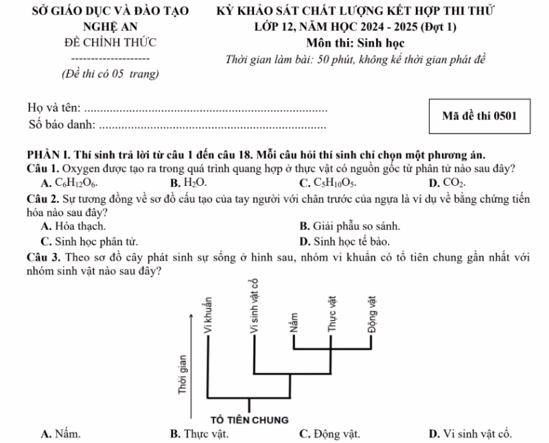 Đề thi thử môn Sinh sở Nghệ An