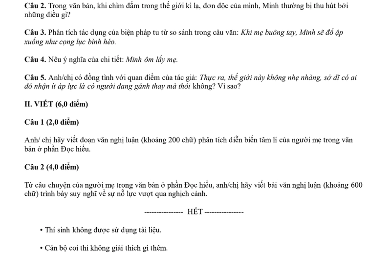 Đề thi thử THPT môn Văn ND Ninh Bình