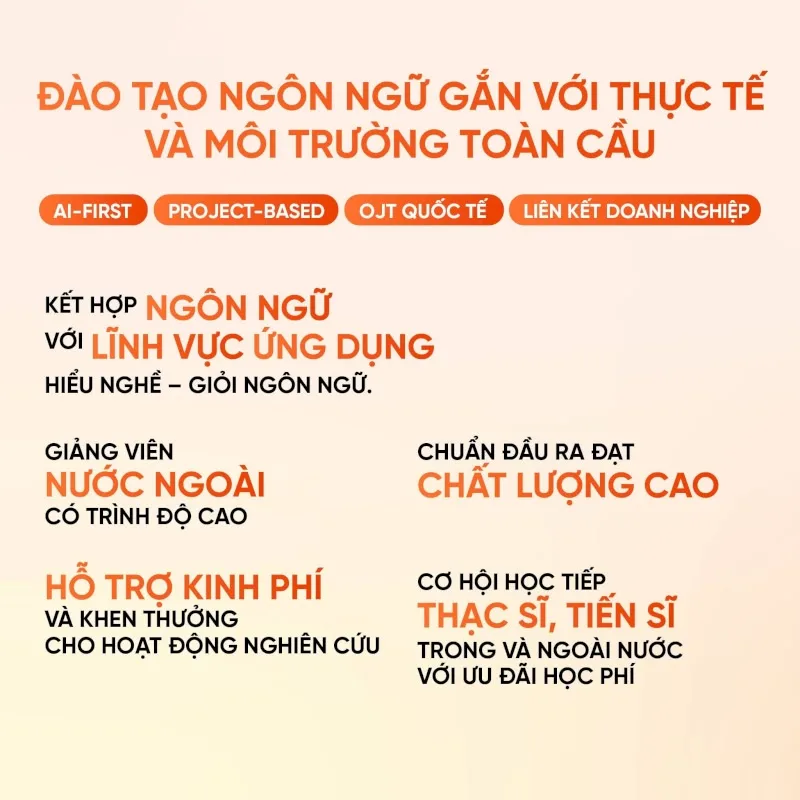 Những điểm nổi bật của chương trình đào tạo Ngôn ngữ Hàn tại Trường Đại học FPT - Nguồn: FPTU